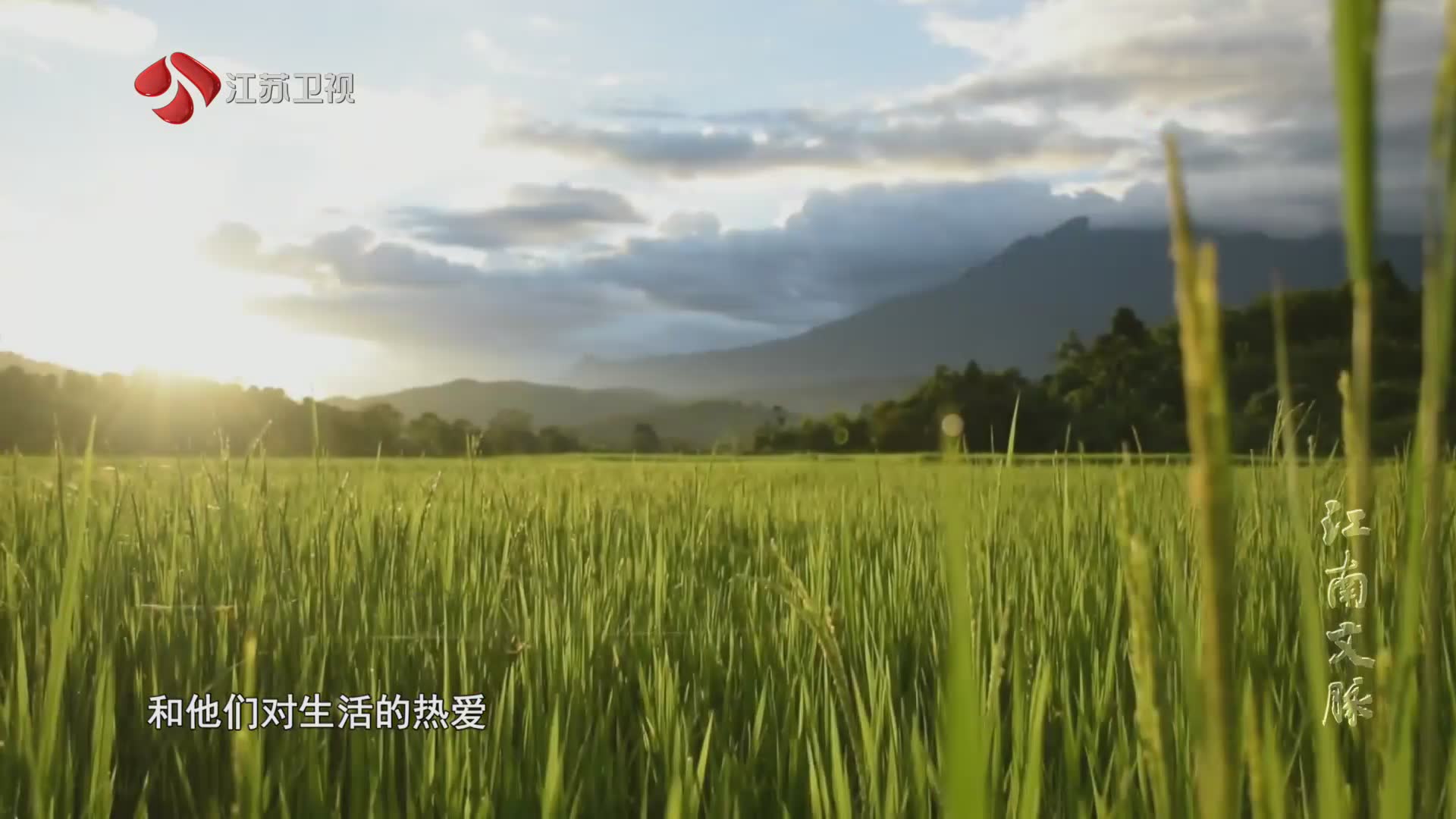 江苏卫视